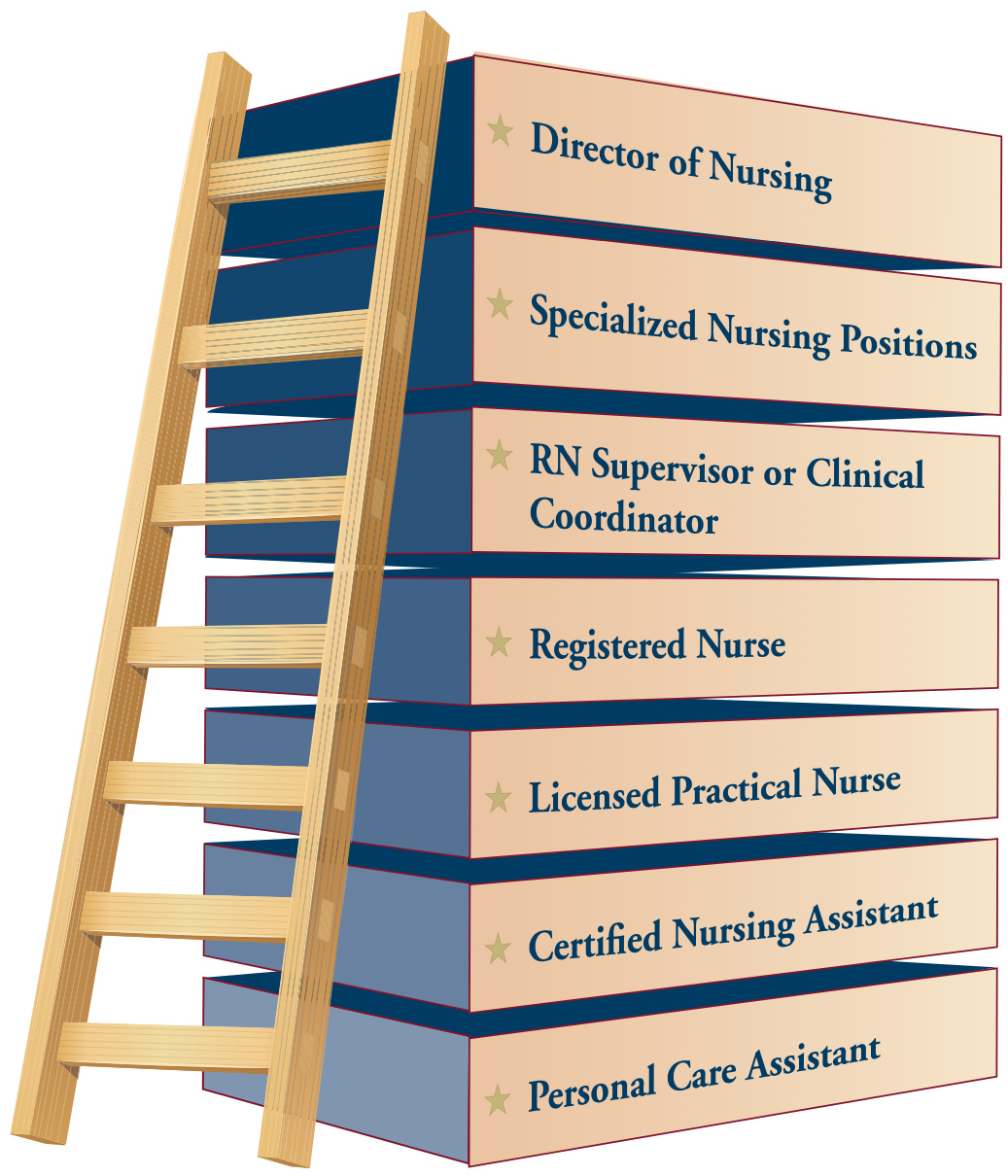 Nursing Career Ladder - Director of Nursing, Specialized Nursing Positions, RN Supervisor or Clinical Coordinator, Registered Nurse, Licensed Practical Nurse, Certified Nursing Assistant, Personal Care Assistant